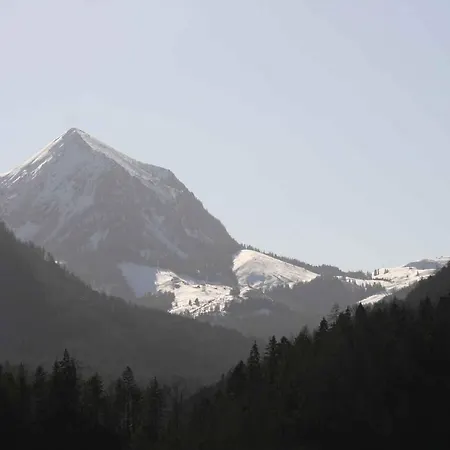 - Salzburger Land 103 *
