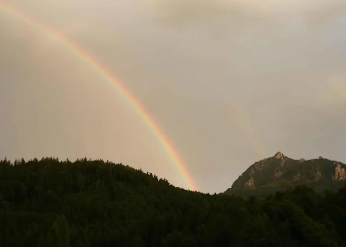 - Salzburger Land 103 Holiday home Strobl