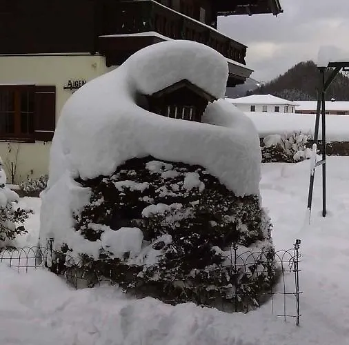 - Salzburger Land 103 Holiday home *