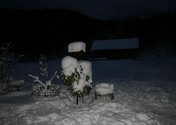 Holiday home - Salzburger Land 103 *