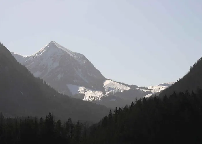 - Salzburger Land 103 *
