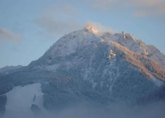 - Salzburger Land 103 Holiday home *