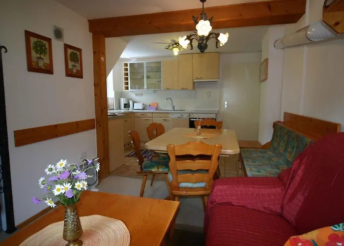 Tatil Evi - Salzburger Land 103