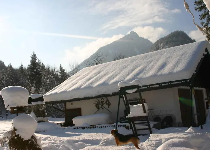 Tatil Evi - Salzburger Land 103 *